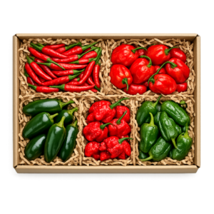 Box paprykowy zestaw pieciu odmian swiezych papryczek chilli Boxujemy