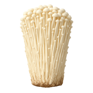 Enoki (Złota Igła)