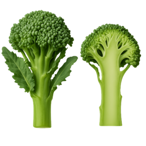 Bimi (Brokuł Gałązkowy)