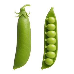 Groszek Cukrowy (Mange-tout)