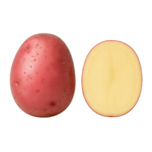 Ziemniak Agatha (Czerwony (500g)