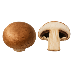 Pieczarka Portobello (500g)