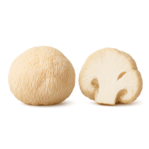 Soplówka Jeżowata (Lion's Mane)