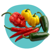 Ostre papryczki chili