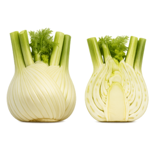 Fenkuł (Koper Włoski)