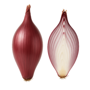 Cebula Tropea (Czerwona podłużna)