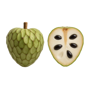 Czerymoja (Cherymoya)