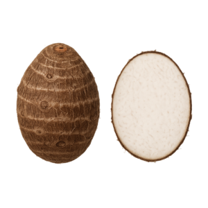 Eddo / Taro (Kolokazja)