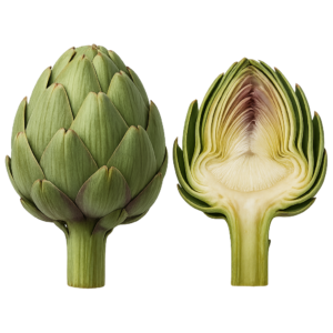 świeży zielony karczoch przekrojony na pół