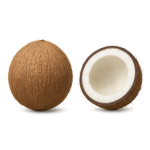 Kokos orzech