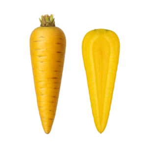 Marchew żółta (500g)