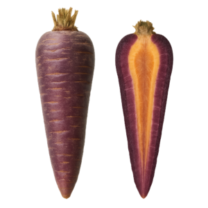 Marchewka fioletowa (500g)