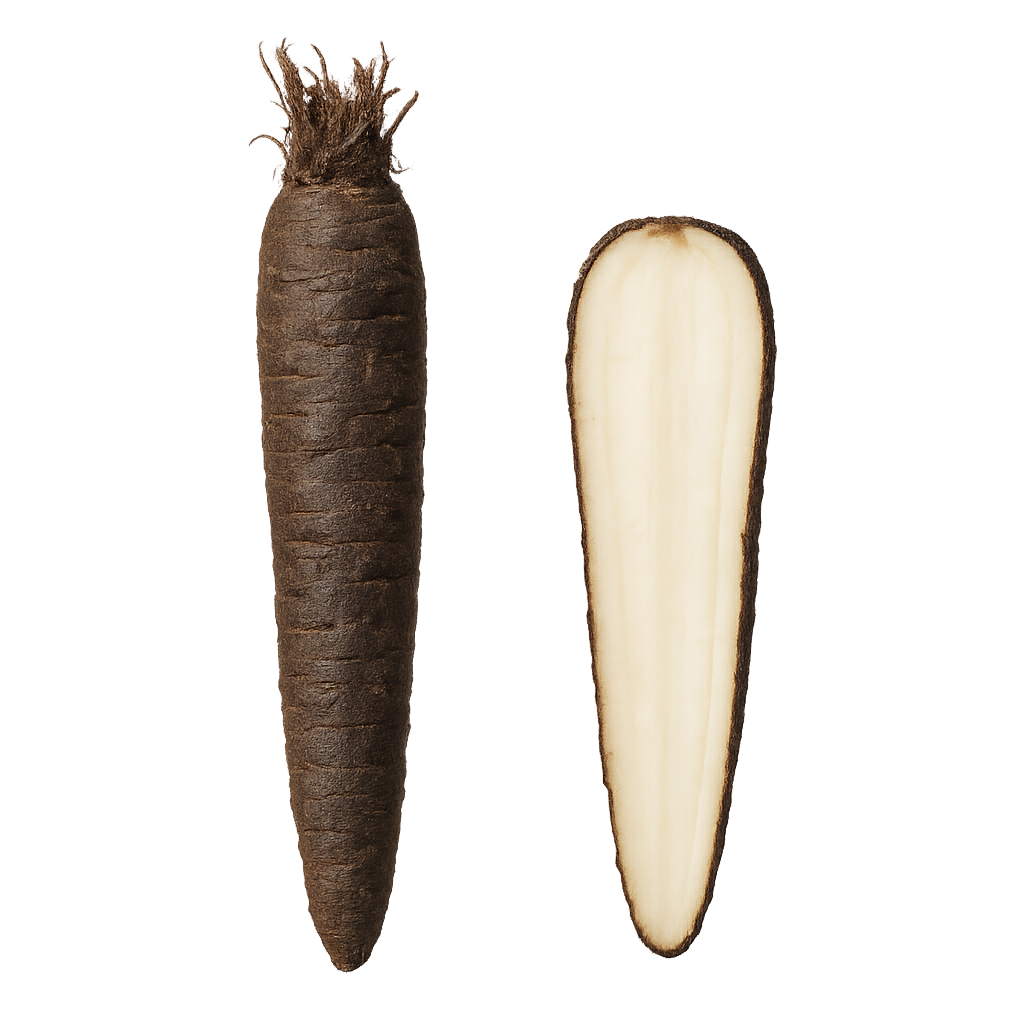 orzeń skorzonery czarna skórka biały środek wężymord boxujemy