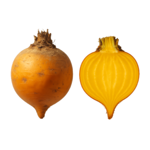 świeży żółty burak złoto z ziemi.