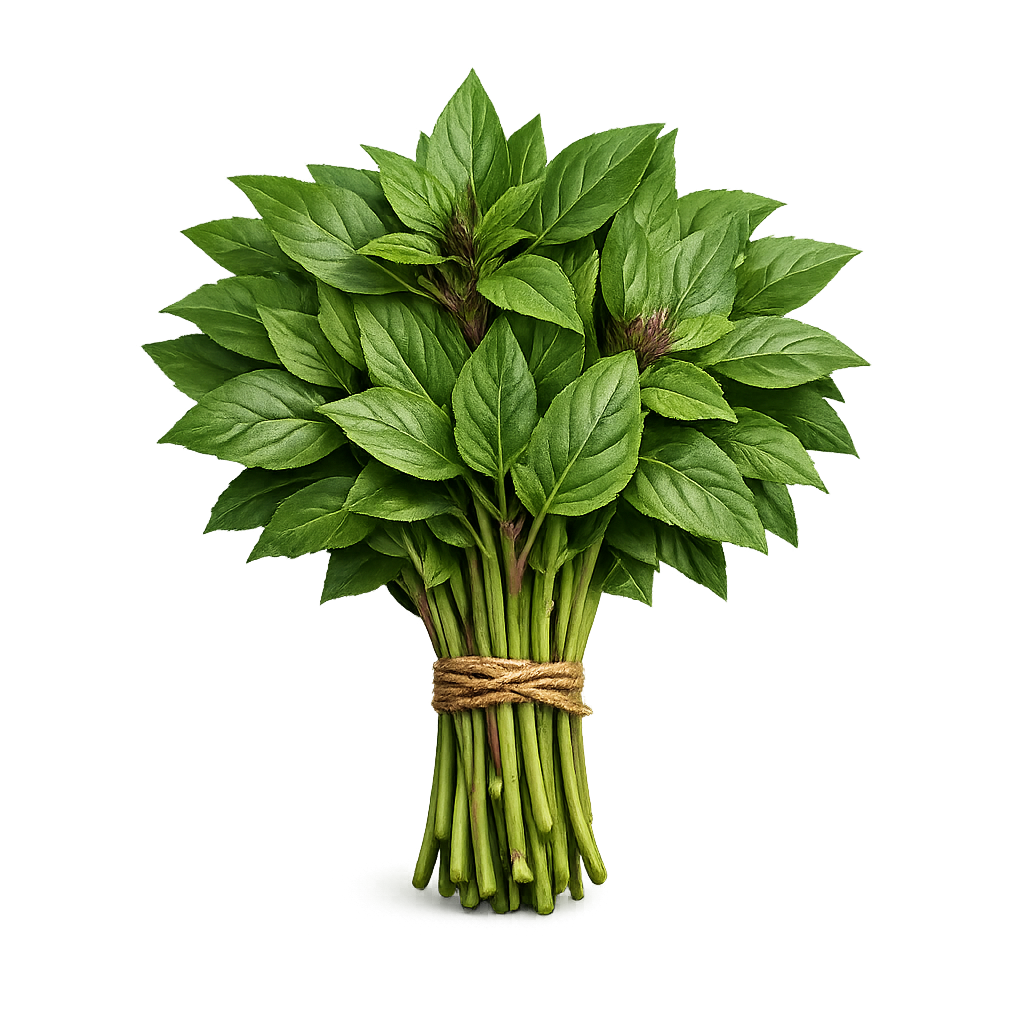 świeża bazylia tajska pęczek 100g zioła do kuchni azjatyckiej boxujemy