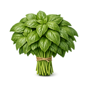 świeża bazylia włoska genovese liście do pesto boxujemy