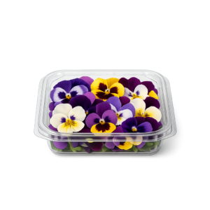 bratek jadalny świeże kwiaty dekoracyjne do tortu i sałatek boxujemy