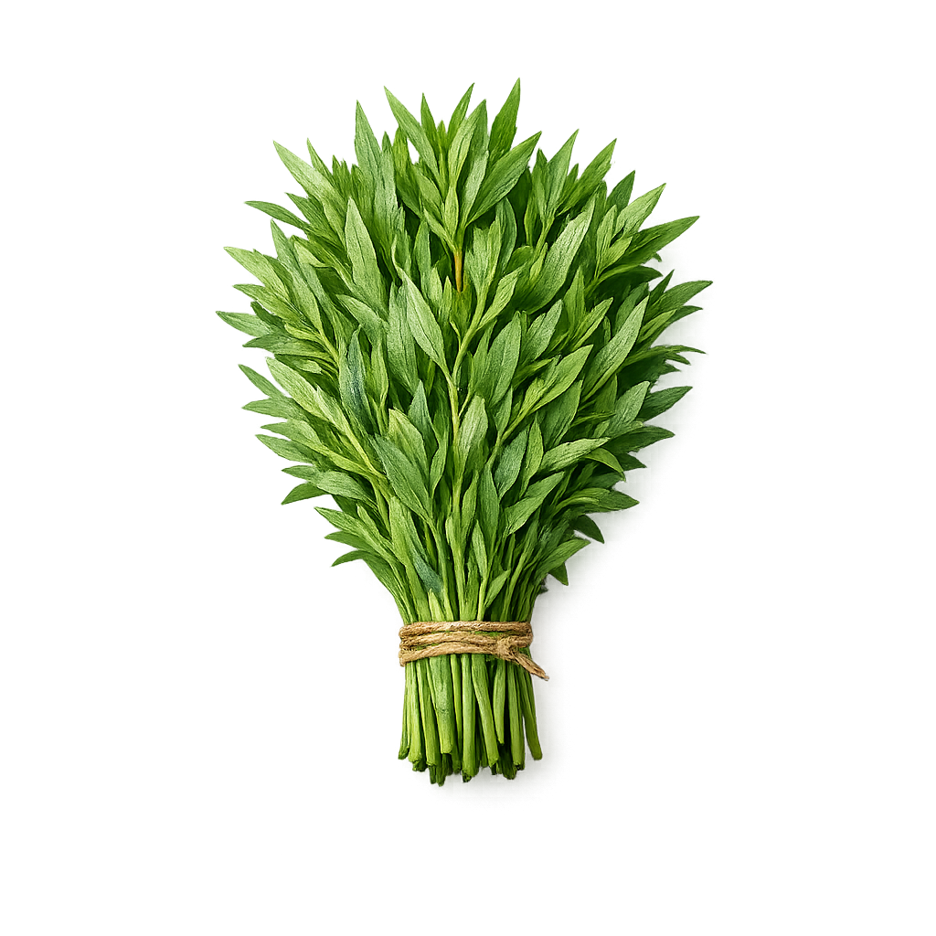 estragon świeży pęczek 100g zioła kuchnia francuska boxujemy