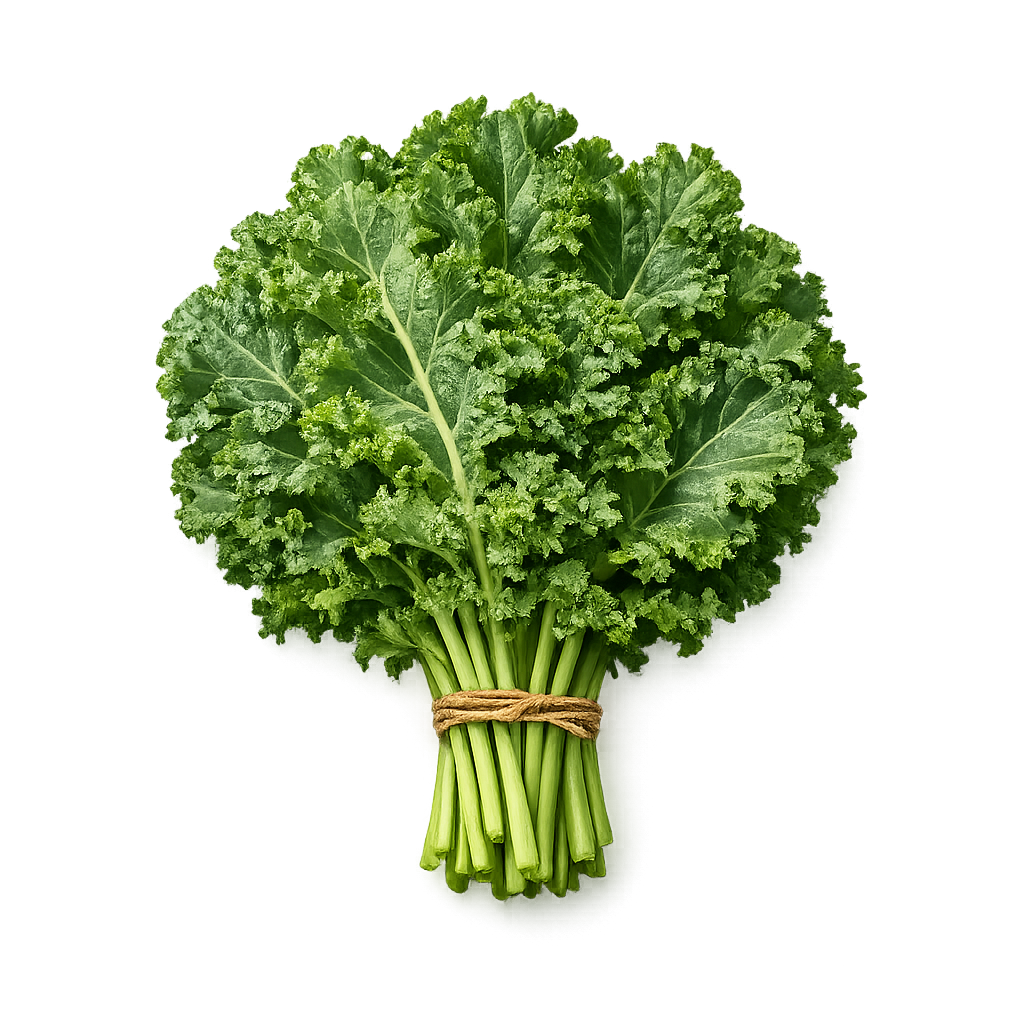 świeży jarmuż karbowane liście 300g superfood boxujemy