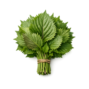 świeże liście shiso pachnotka do sushi kuchnia japońska boxujemy