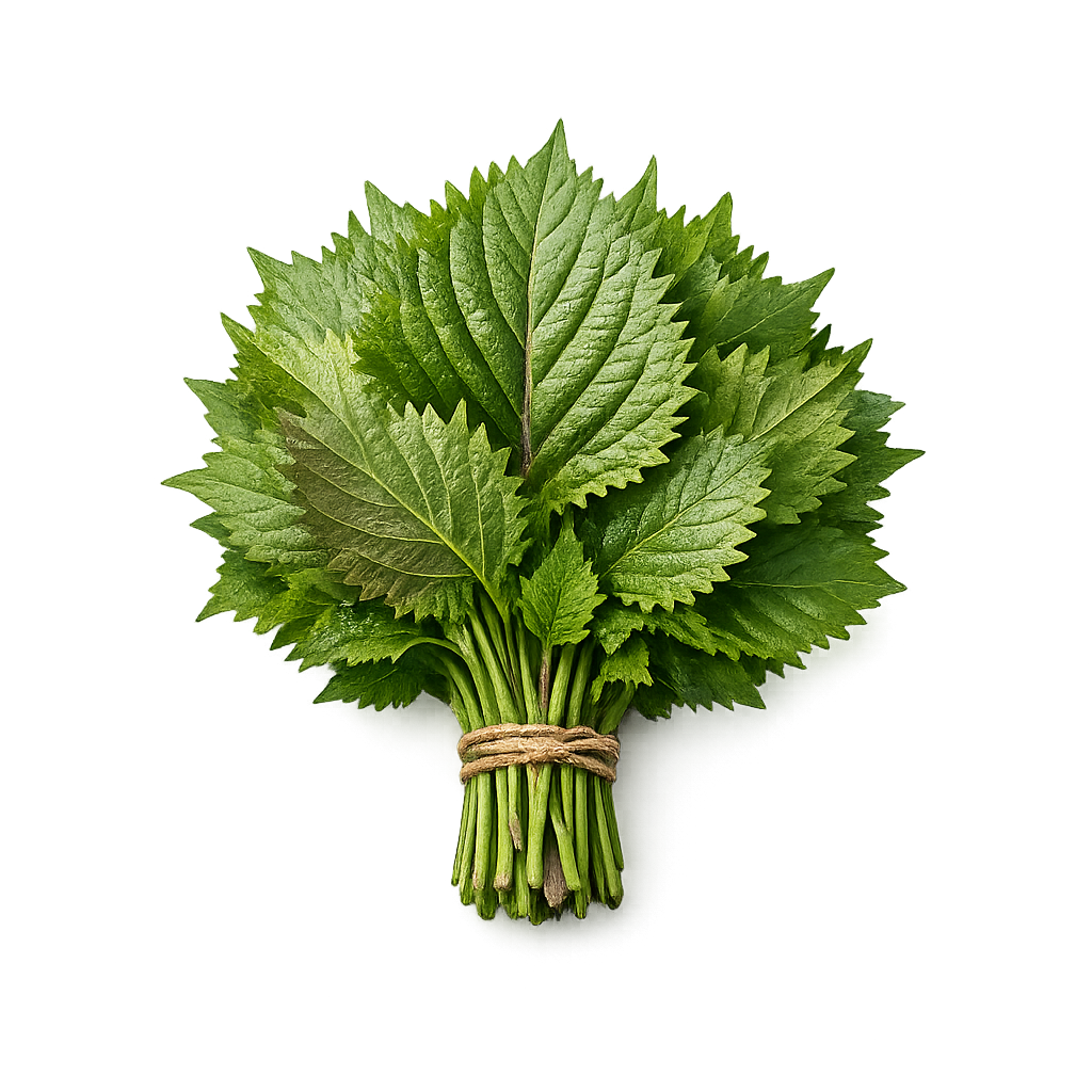 świeże liście shiso pachnotka do sushi kuchnia japońska boxujemy