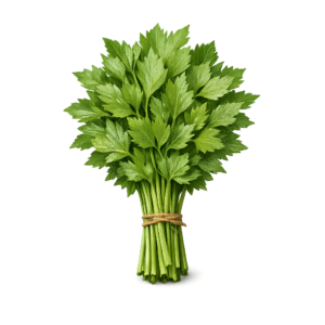 lubczyk świeży pęczek 100g zioła domowa maggi do rosołu boxujemy