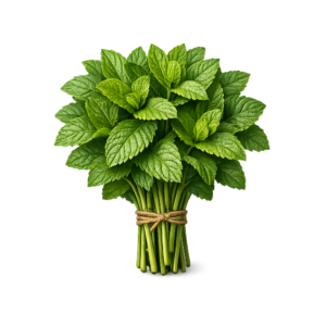 mięta świeża pęczek 100g zioła do lemoniady i drinków boxujemy