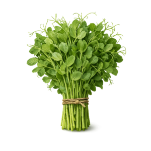 świeże pędy groszku czepnego 100g mikroliście Boxujemy