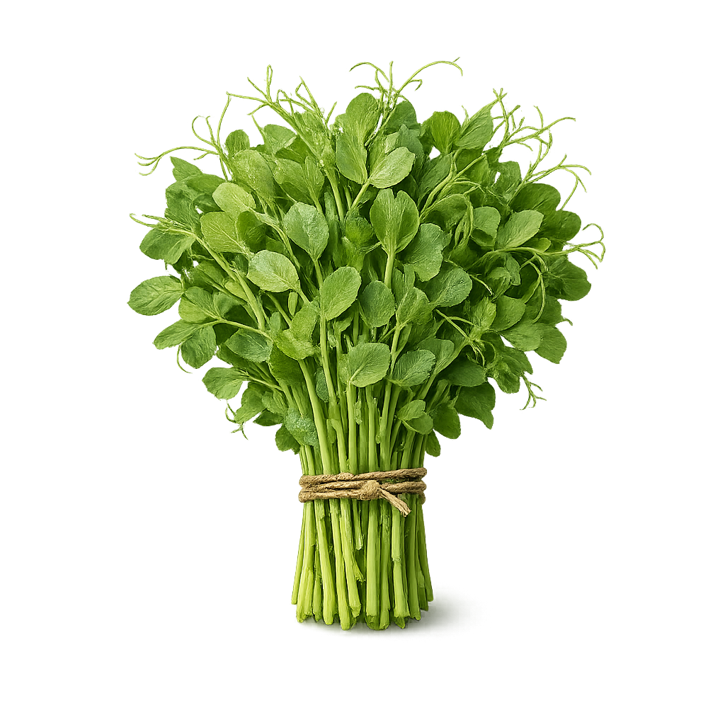 świeże pędy groszku czepnego 100g mikroliście Boxujemy