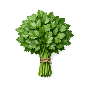 Pietruszka Natka (Gładka)