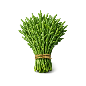 świeży soliród szparag morski zioło morskie do ryb boxujemy