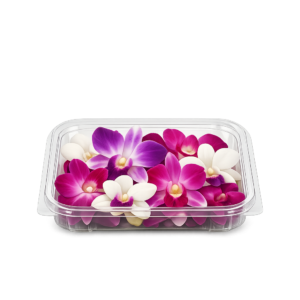 storczyk jadalny orchidea dekoracja tortu kwiaty jadalne boxujemy