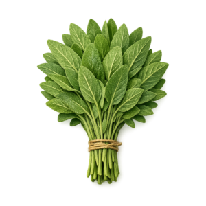 szałwia świeża pęczek 100g zioła do masła i drobiu boxujemy