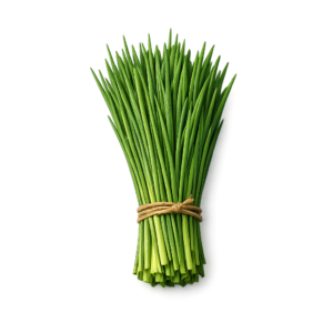 szczypiorek świeży pęczek 100g zioła do kanapek i twarogu boxujemy
