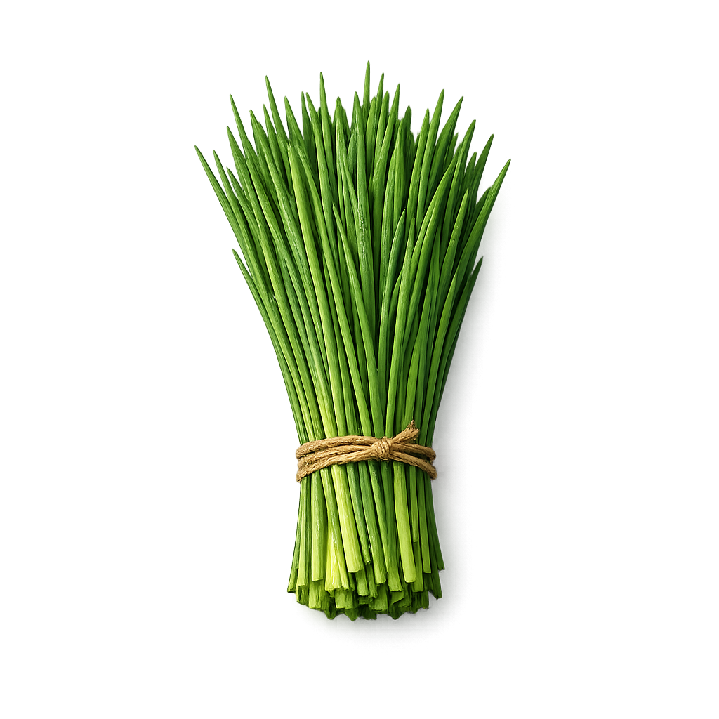 szczypiorek świeży pęczek 100g zioła do kanapek i twarogu boxujemy