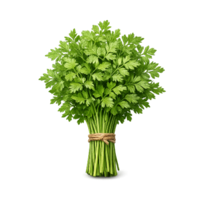 rybula świeża pęczek 100g zioła do jajek i ryb boxujemy