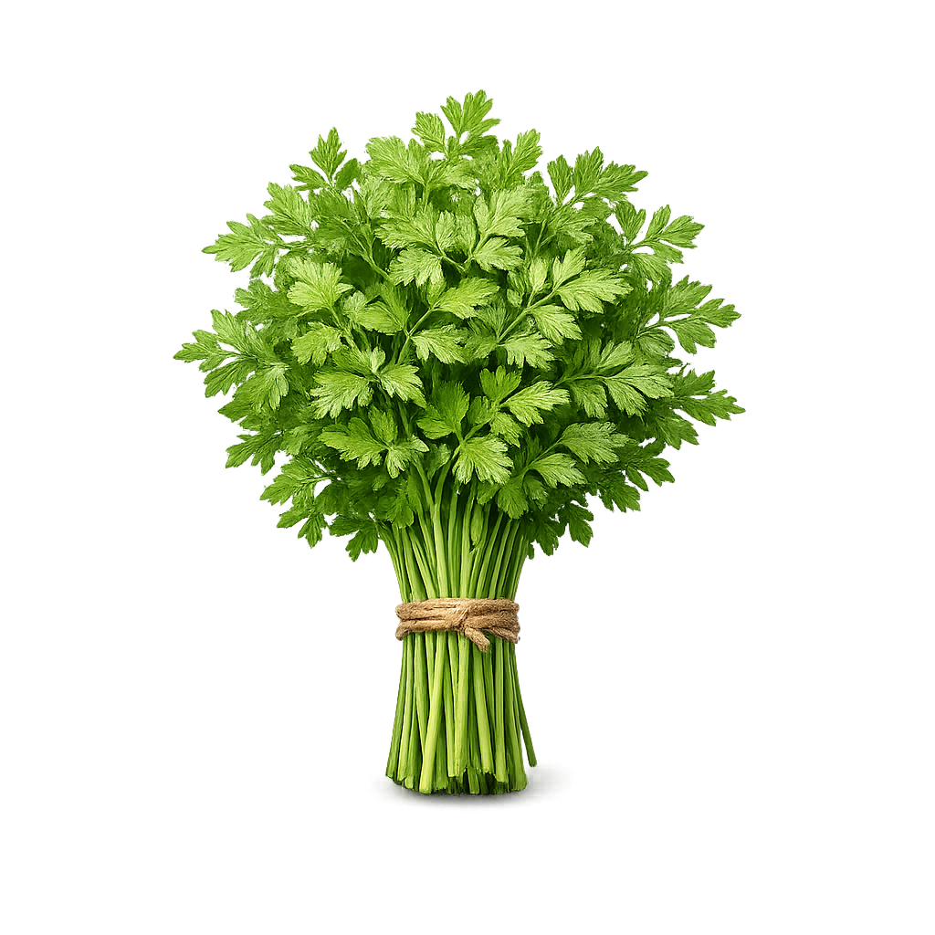 rybula świeża pęczek 100g zioła do jajek i ryb boxujemy