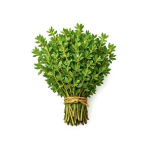 tymianek świeży pęczek 100g zioła aromatyczne boxujemy