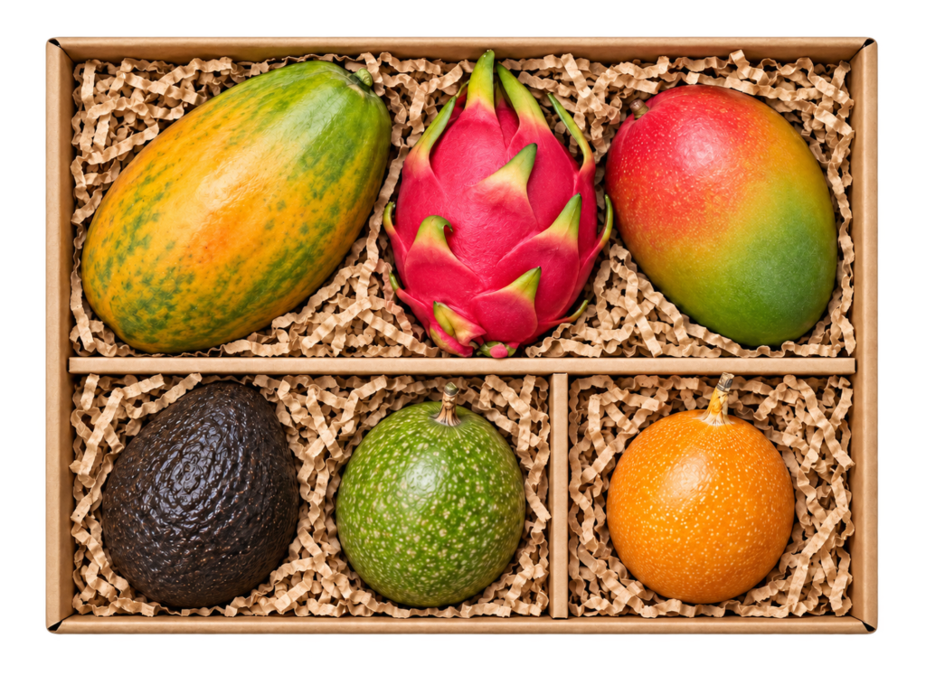 Box na Pierwszy Raz z mango, pitają o białym miąższu, papają, awokado, zieloną marakują i granadillą